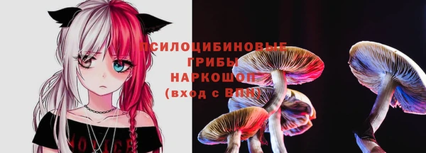 герыч Гусь-Хрустальный