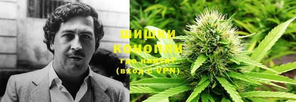 mdpv Гусев