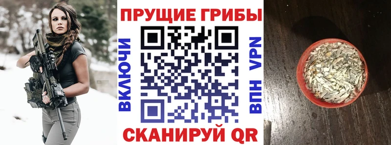 Псилоцибиновые грибы Cubensis  Купить  Комсомольск 