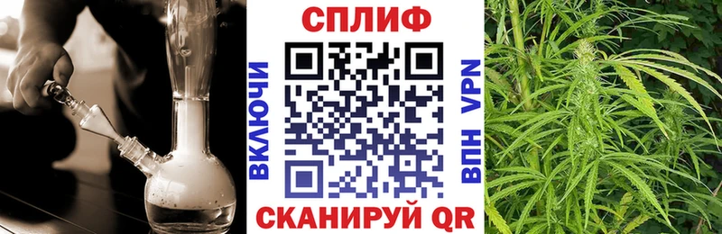 Канабис индика  Купить где  Комсомольск 